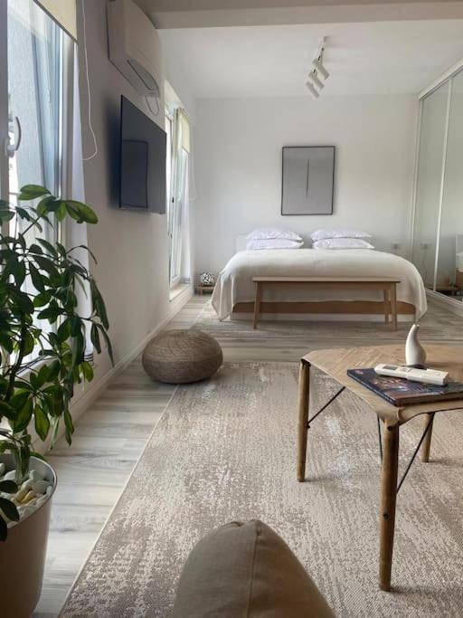 Shi Ti Junior Suite Iasi Exteriör bild