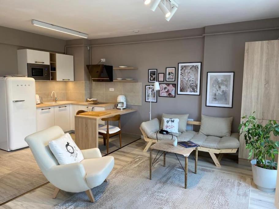 Shi Ti Junior Suite Iasi Exteriör bild